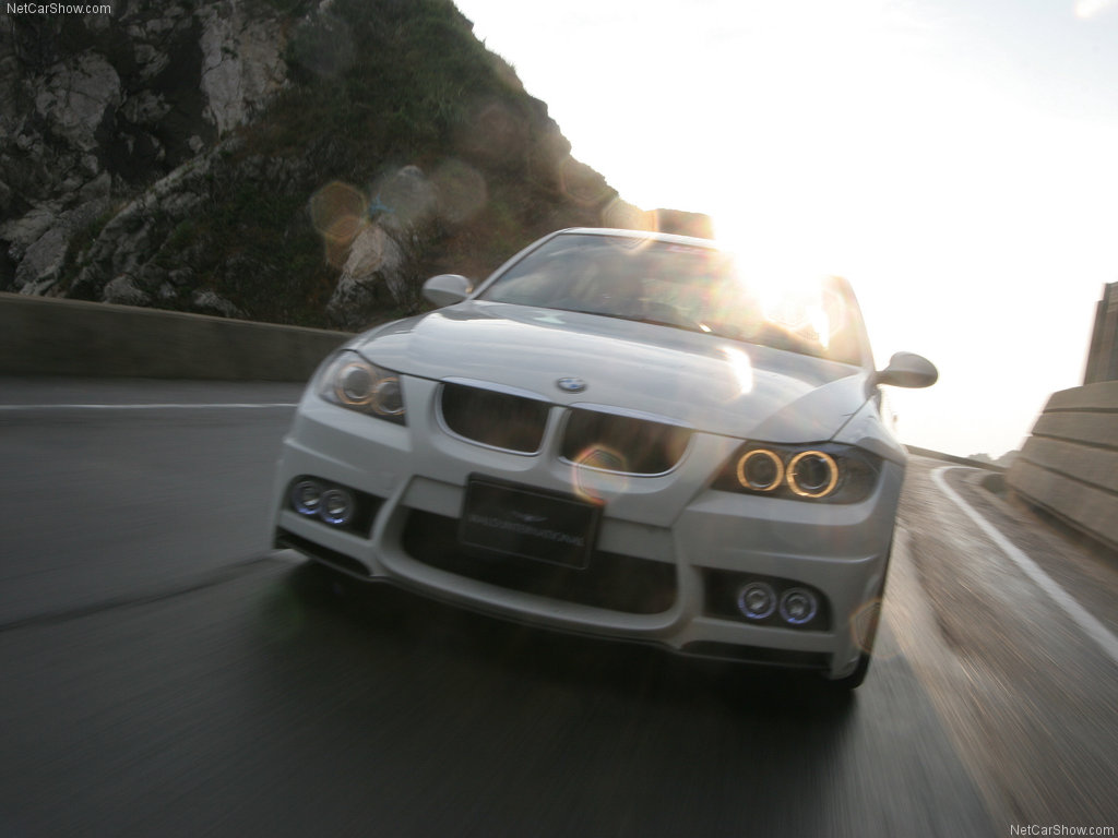 Wald BMW 3 Series 2008 1024x768 wallpaper 05 The Little Bird BMW 3 series 320d High Line